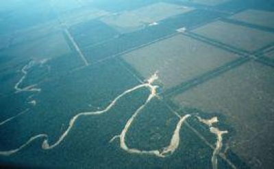 O Pantanal sob Ameaça
