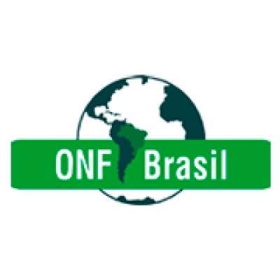 ONF Brasil divulga termo de referência para análise técnica-econômica da cadeia da madeira e de produtos florestais não madeireiros na região noroeste do Mato Grosso