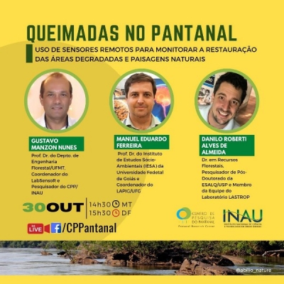 Queimadas no Pantanal