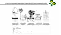 Classificação dos Macrohabitat do Pantanal Brasileiro: Atualização para Políticas Públicas e Manejo de Áreas Protegidas